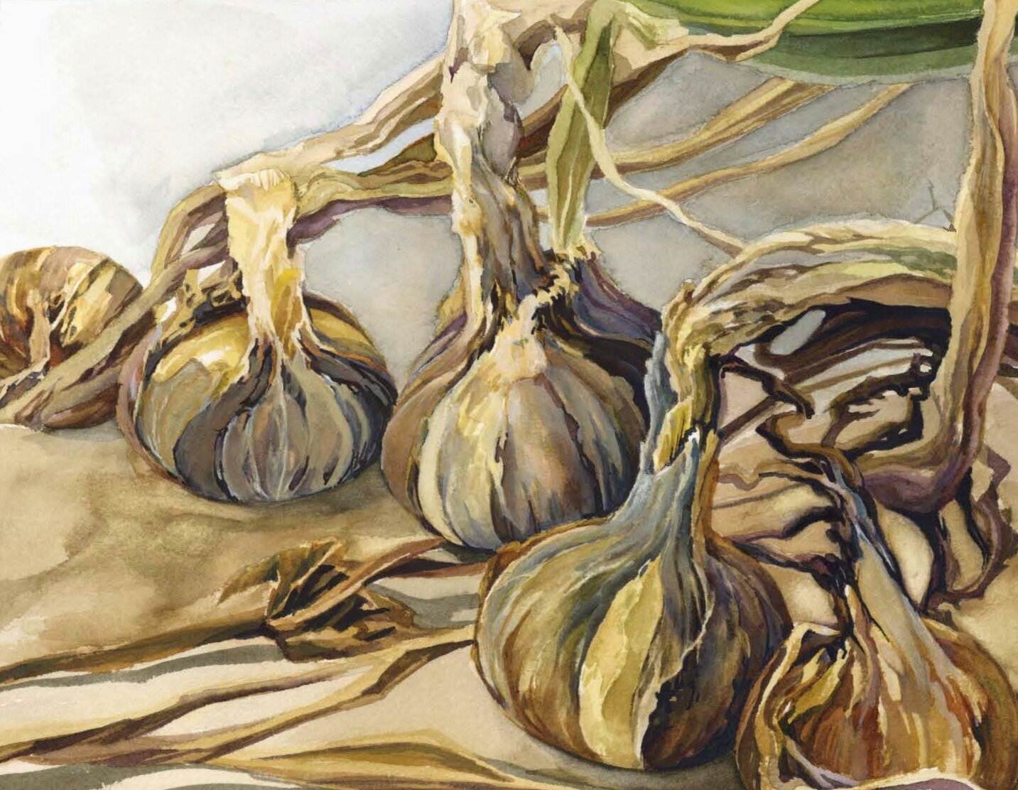 A Study of Onions