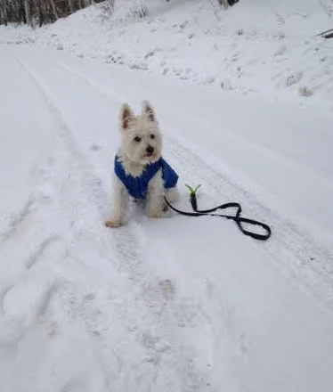 Hey! I have snow on my beard!