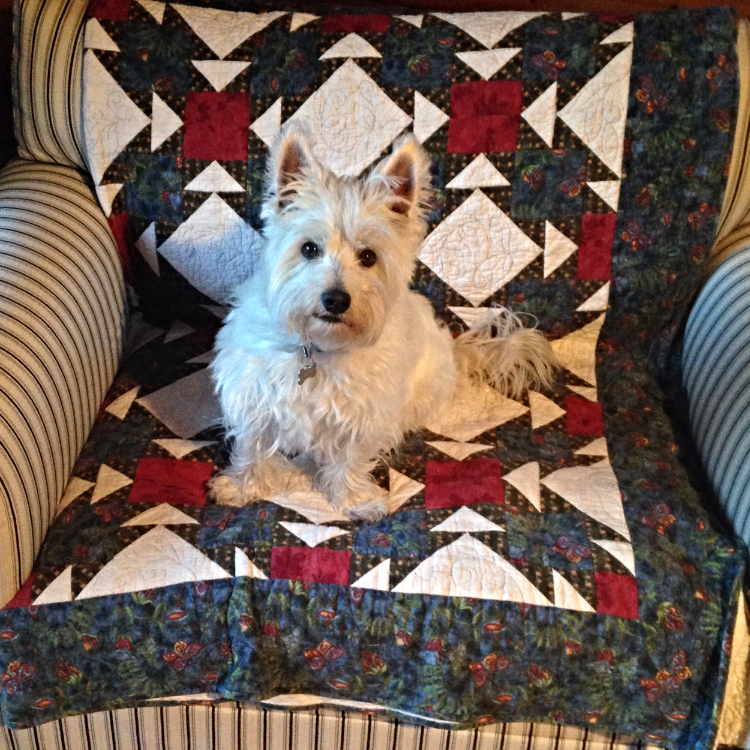 If your quilt is going to be well loved, you'll want a batting that performs well in the wash.