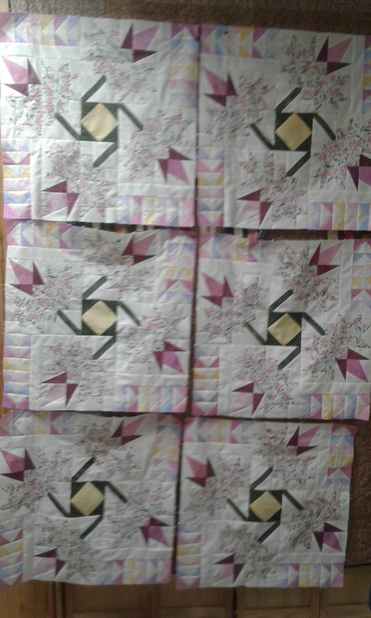 Mallory Almajuin Quilter Guild Nothern Neighbours