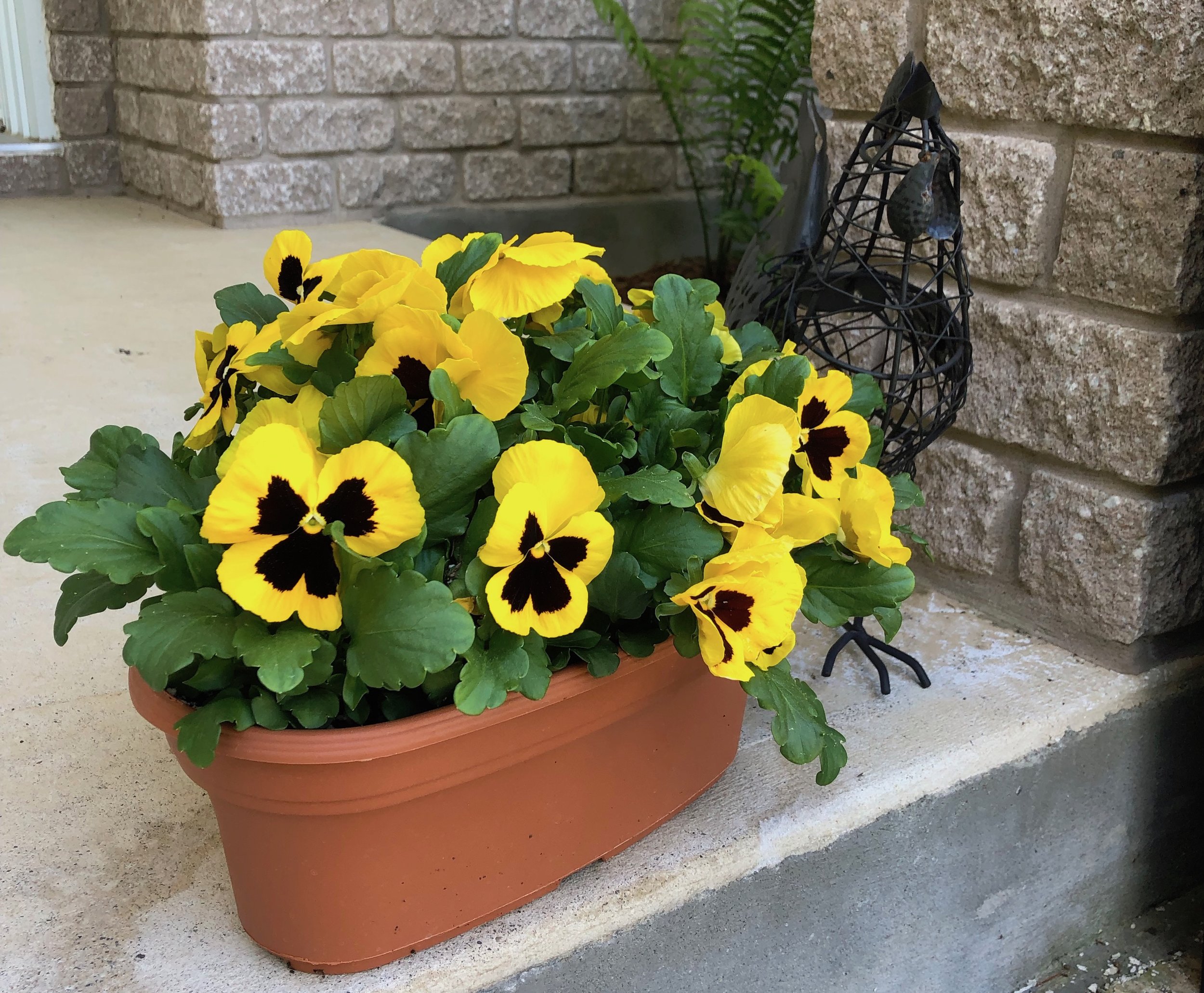 IMG_0197.jpeg