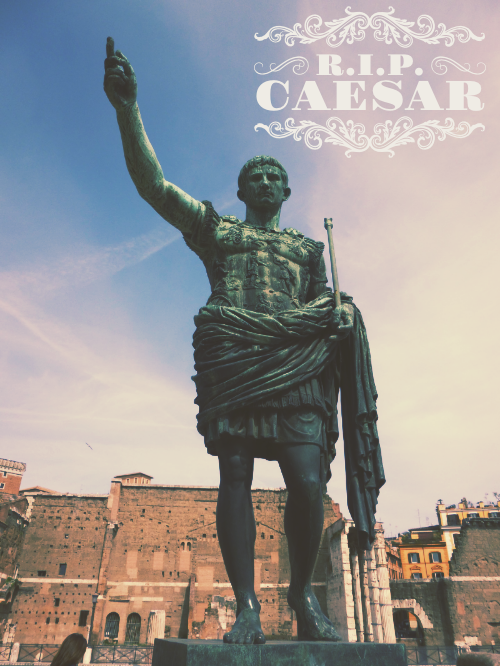 The British History of Times New Roman