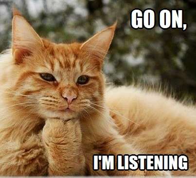 Cats are notoriously tough to impress.