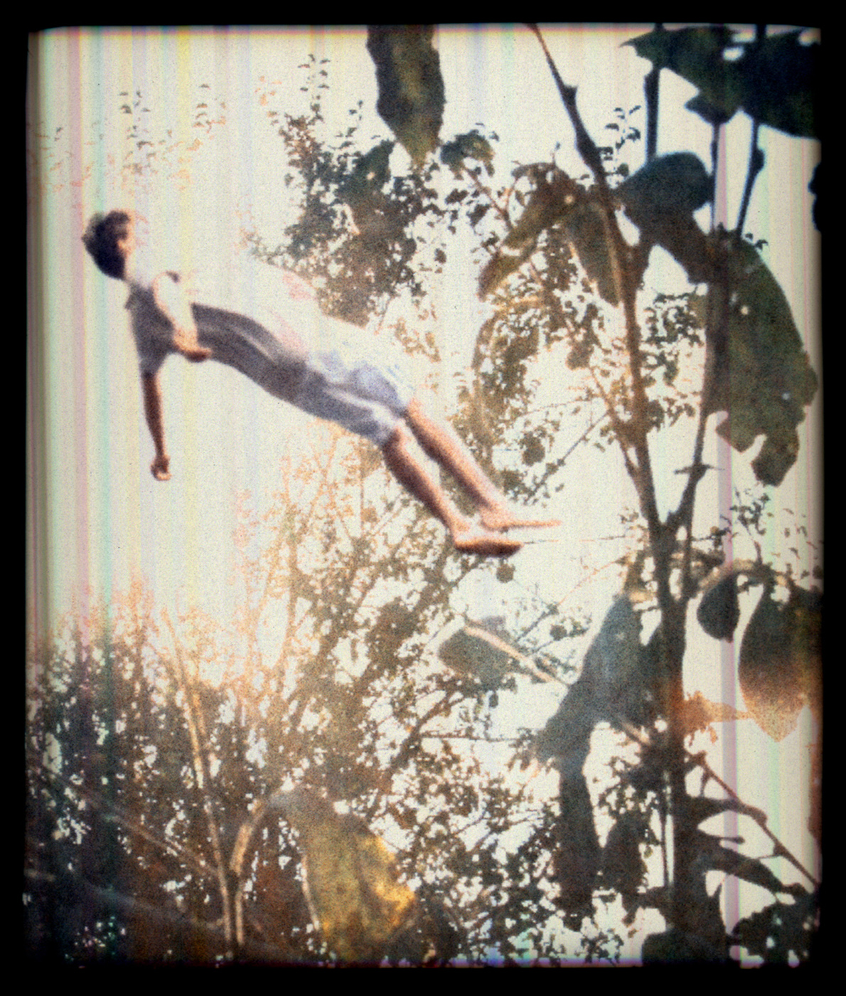 Falling in Trees12.jpg