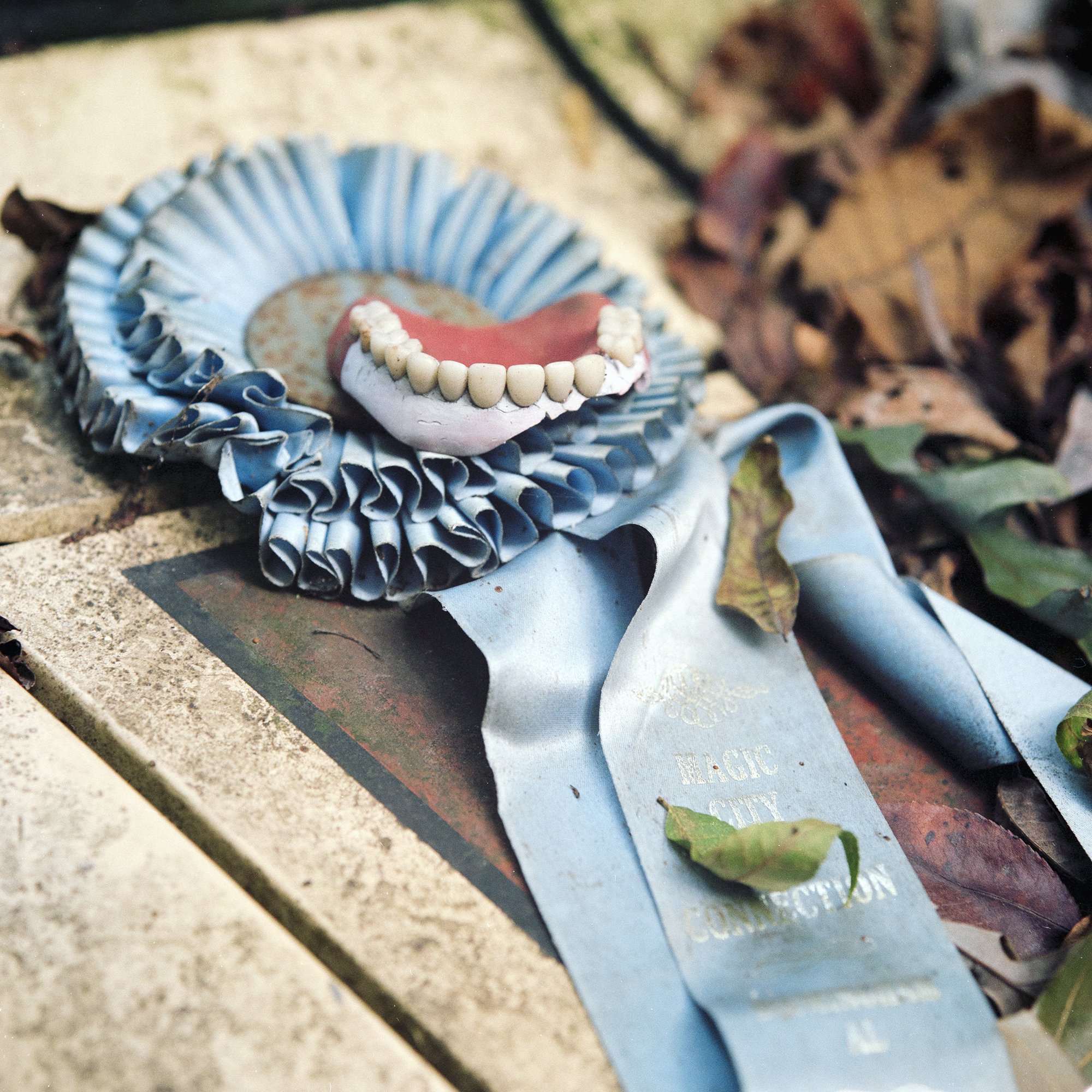 Blue Ribbon and Teeth, 1997