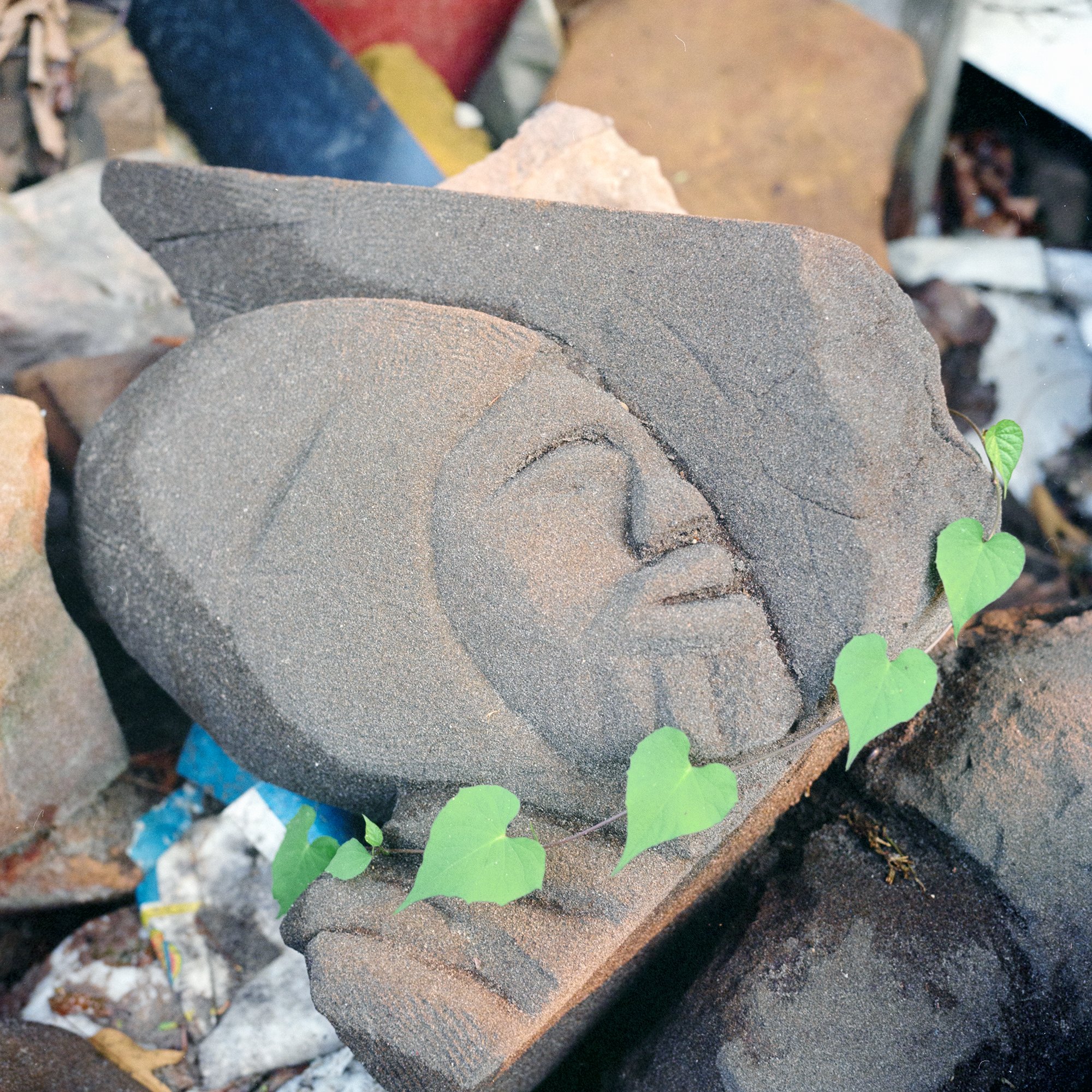 Sculpture with Vines, 1997