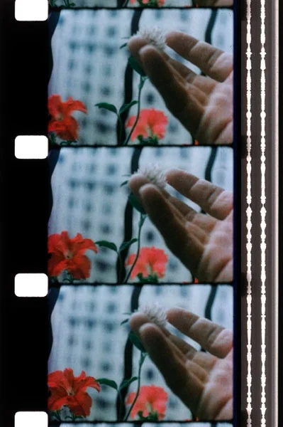 Walden , Jonas Mekas (1969)