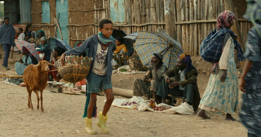 Lamb , Yared Zeleke (2015)