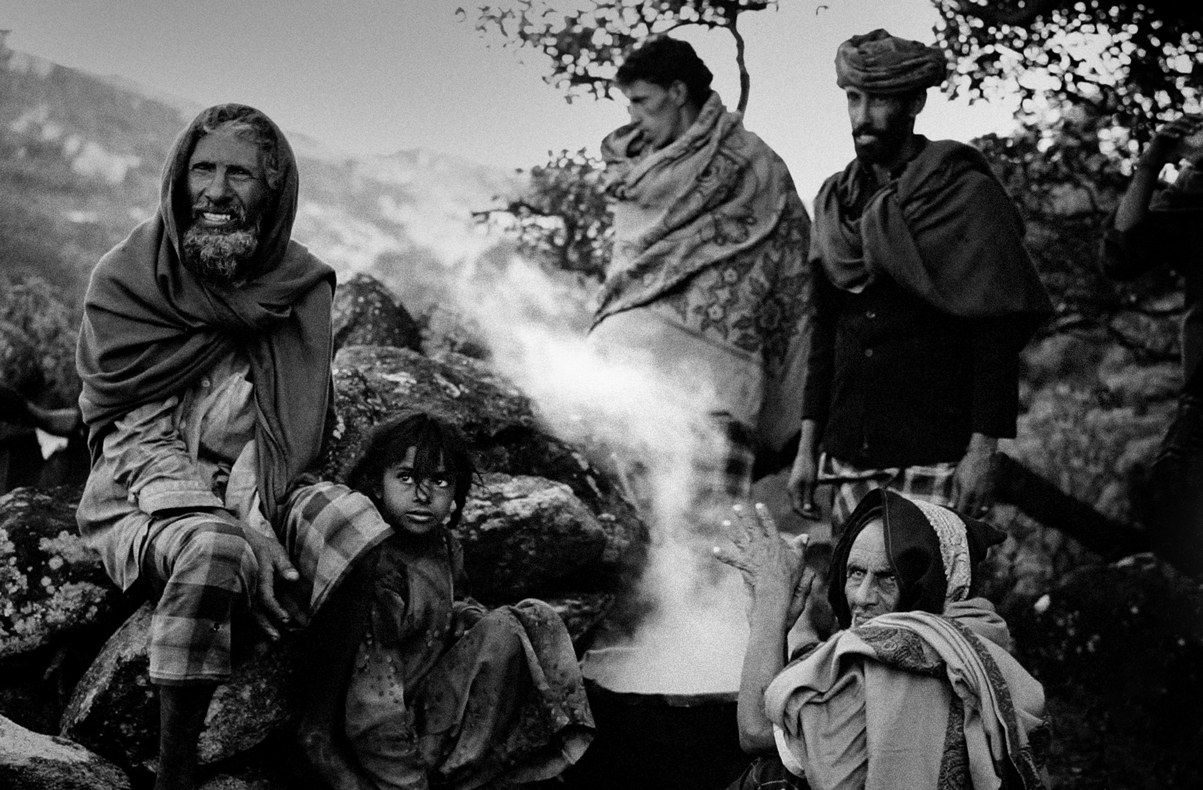 Socotra, the Island of Djinns , Jordi Esteva (2014)