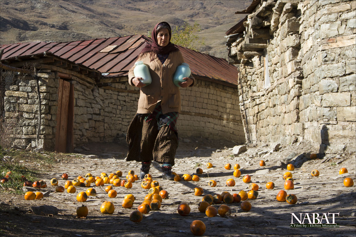 NABAT_05_240.jpg