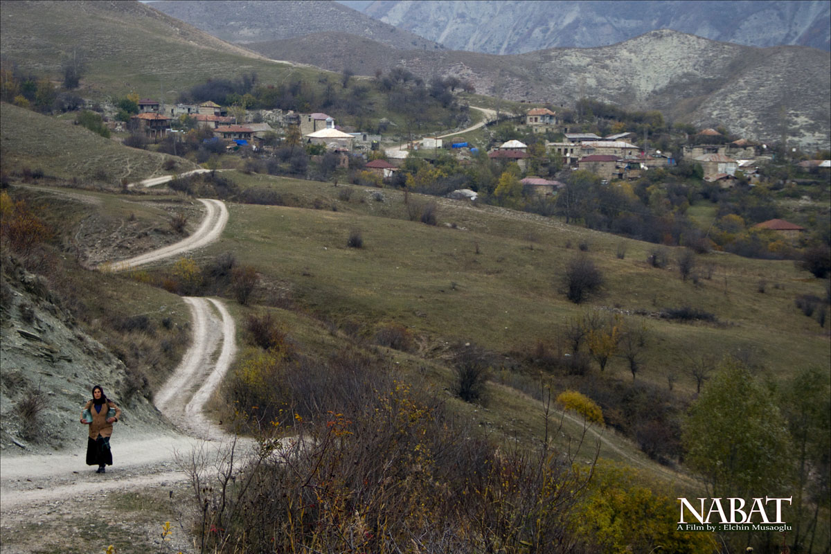 NABAT_14_240.jpg