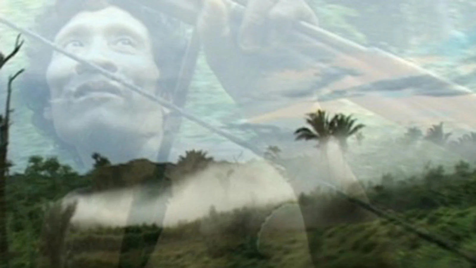 Hills of Disorder , Andrea Tonacci (2006)