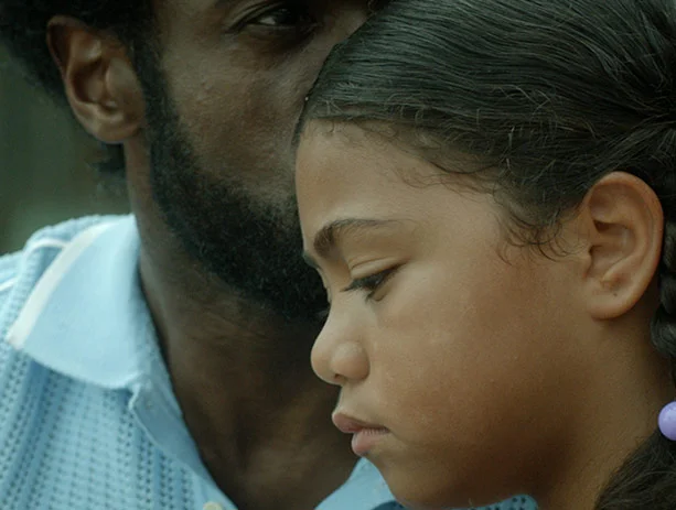 Gang of the French Caribbean , Jean-Claude Flamand-Barny (2016)