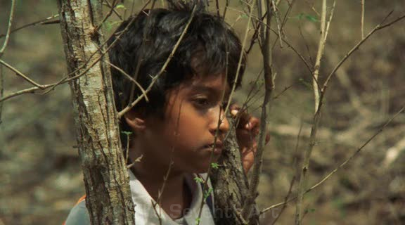 The Forsaken Land , Vimukthi Jayasundara (2005)