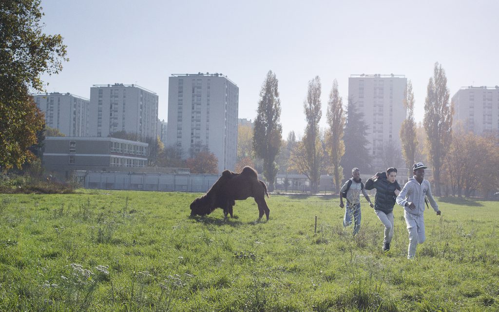 Swagger , Olivier Babinet (2016)