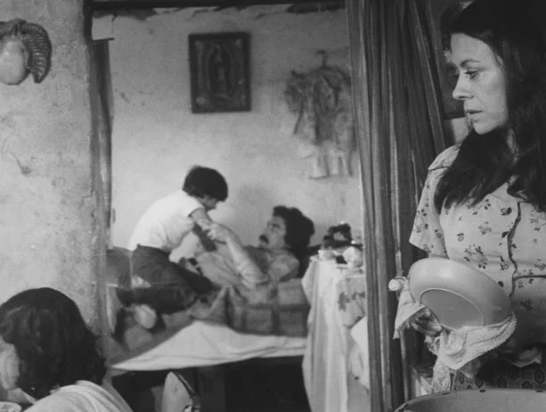 Raíces de sangre (Roots of Blood) , Jesús Salvador Treviño (1978)