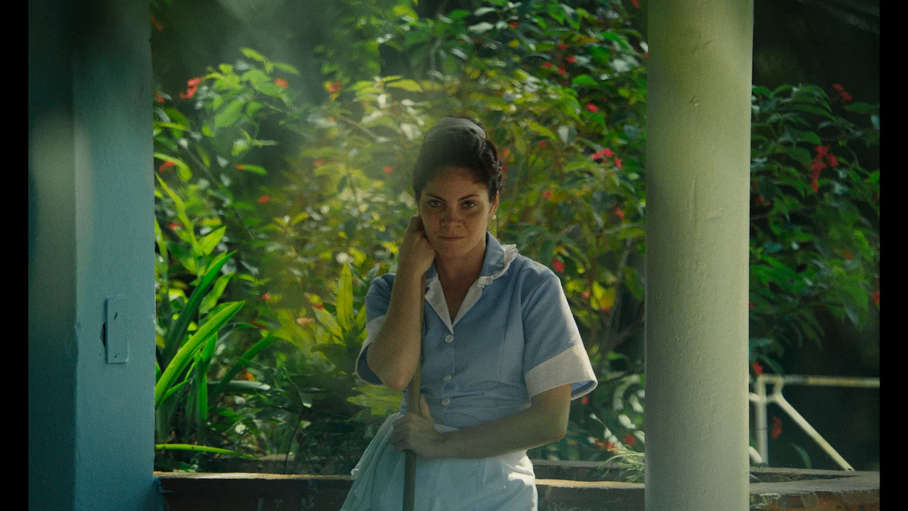 ll You Can Eat Buddha , Ian Lagarde (2017)