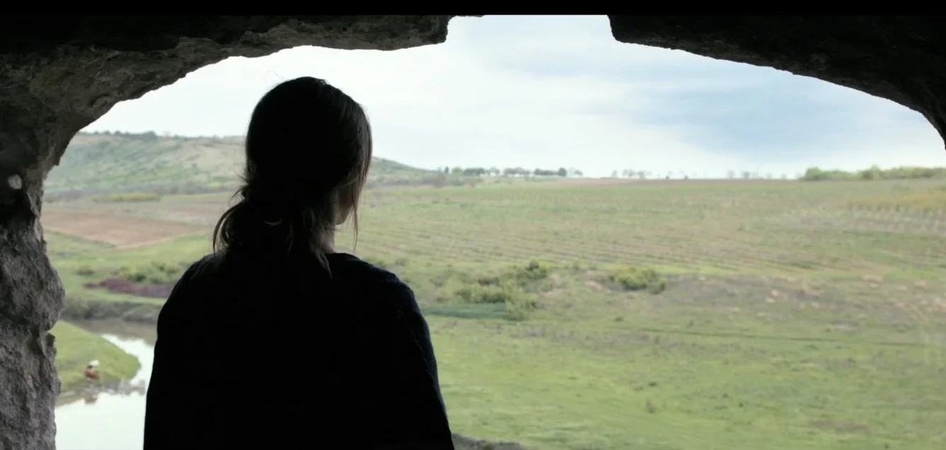 Anishoara , Ana-Felicia Scutelnicu (2016)