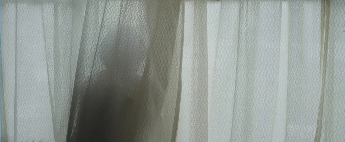 Minotaur , Nicolás Pereda (2015)
