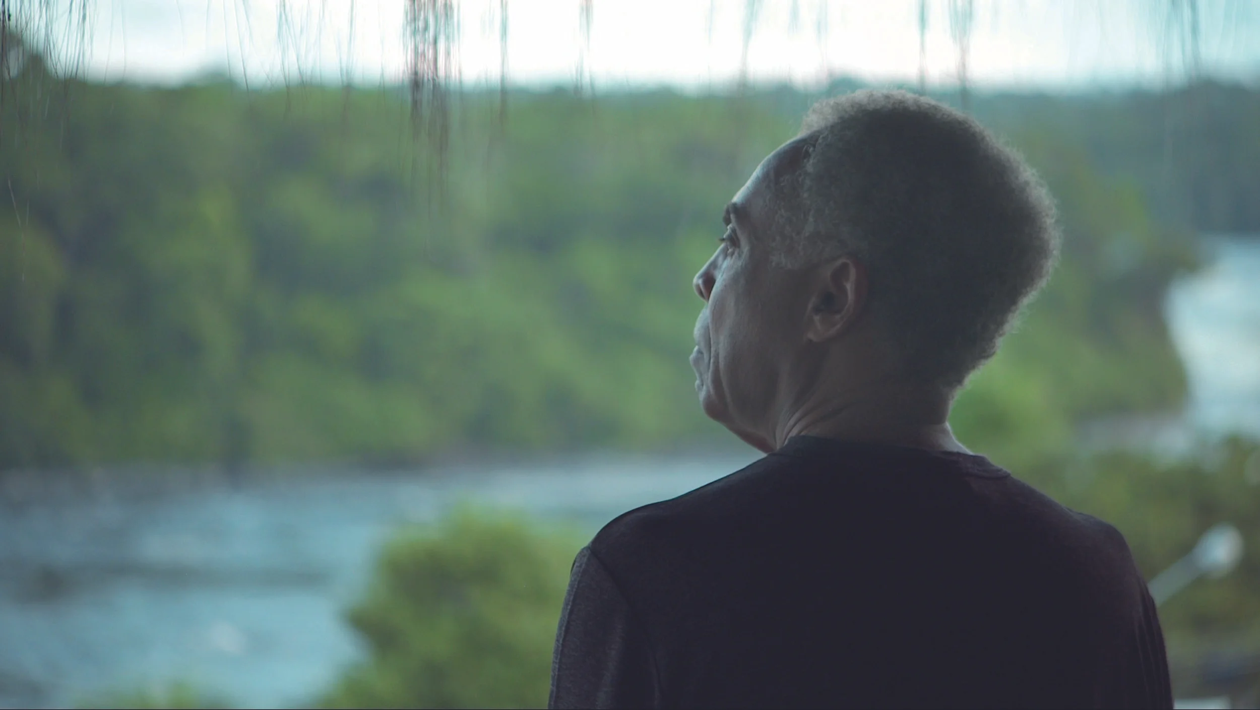 Viramundo , Pierre-Yves Borgeaud (2013)