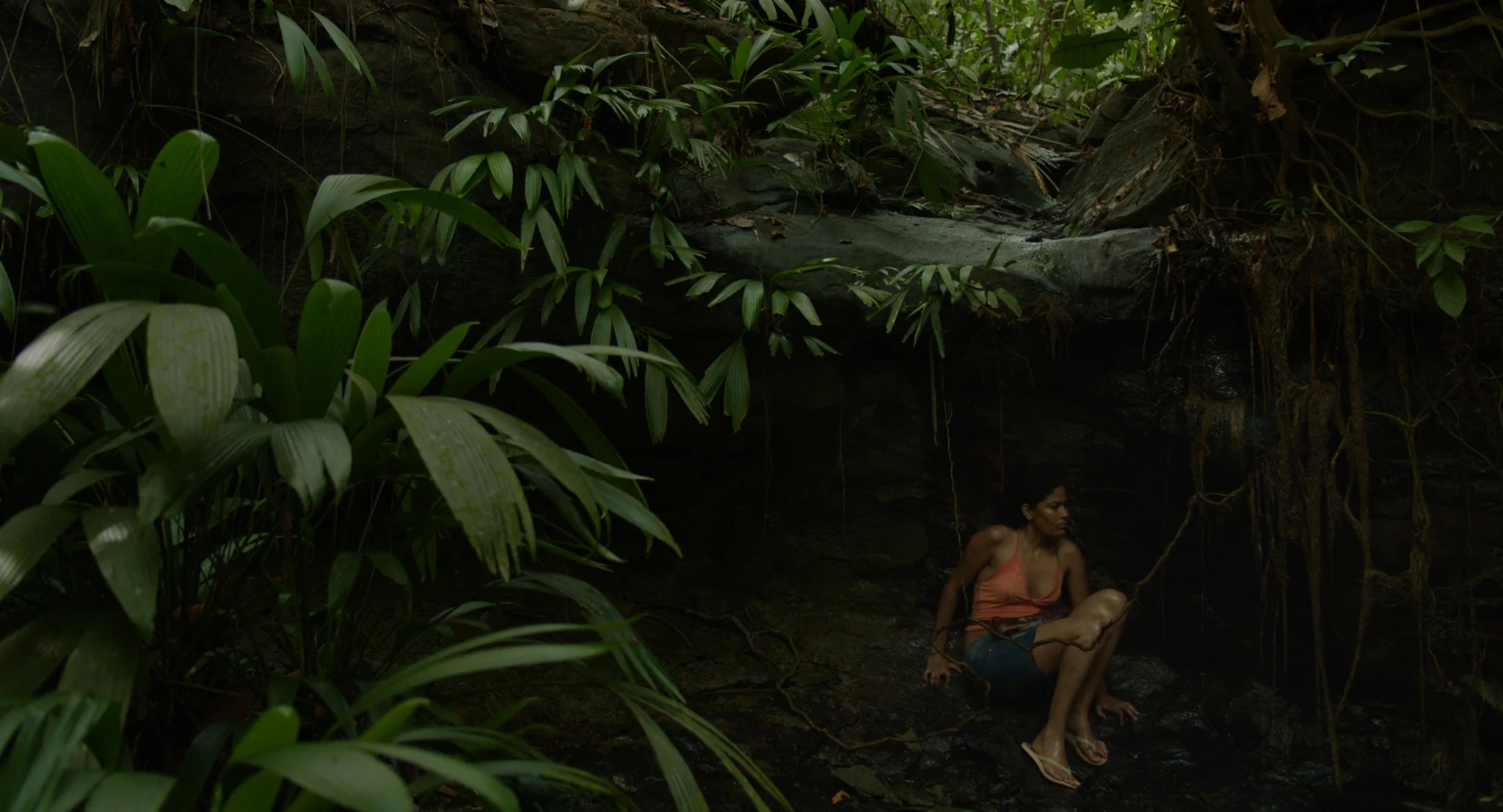 Oscuro Animal , Felipe Guerrero (2016)