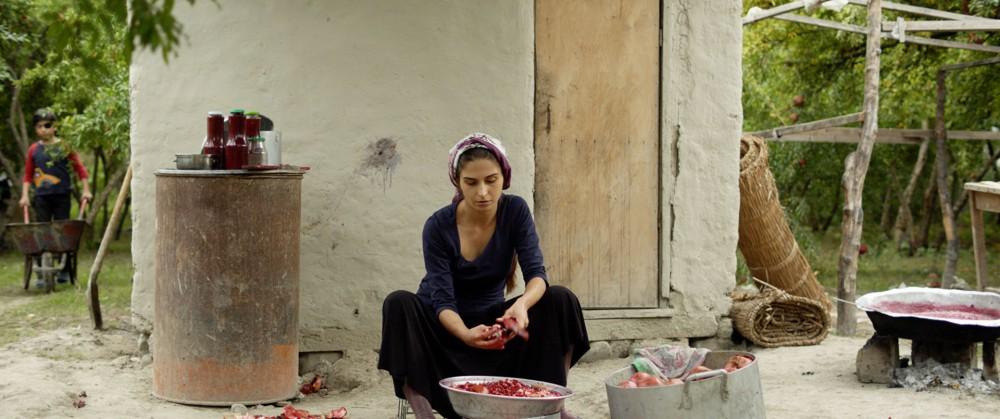 Pomegranate Orchard , Ilgar Najaf (2017)