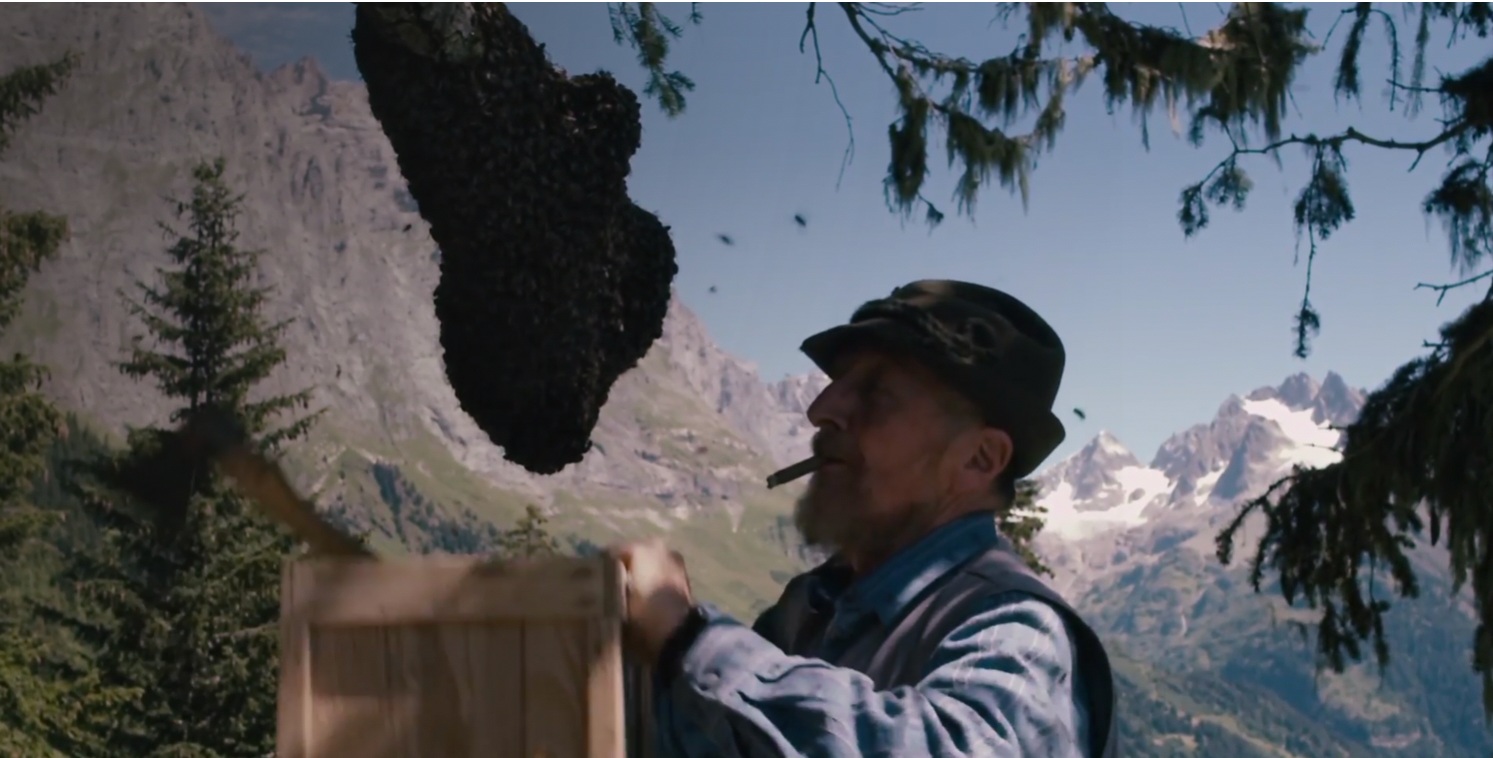 More Than Honey , Markus Imhoof (2012)