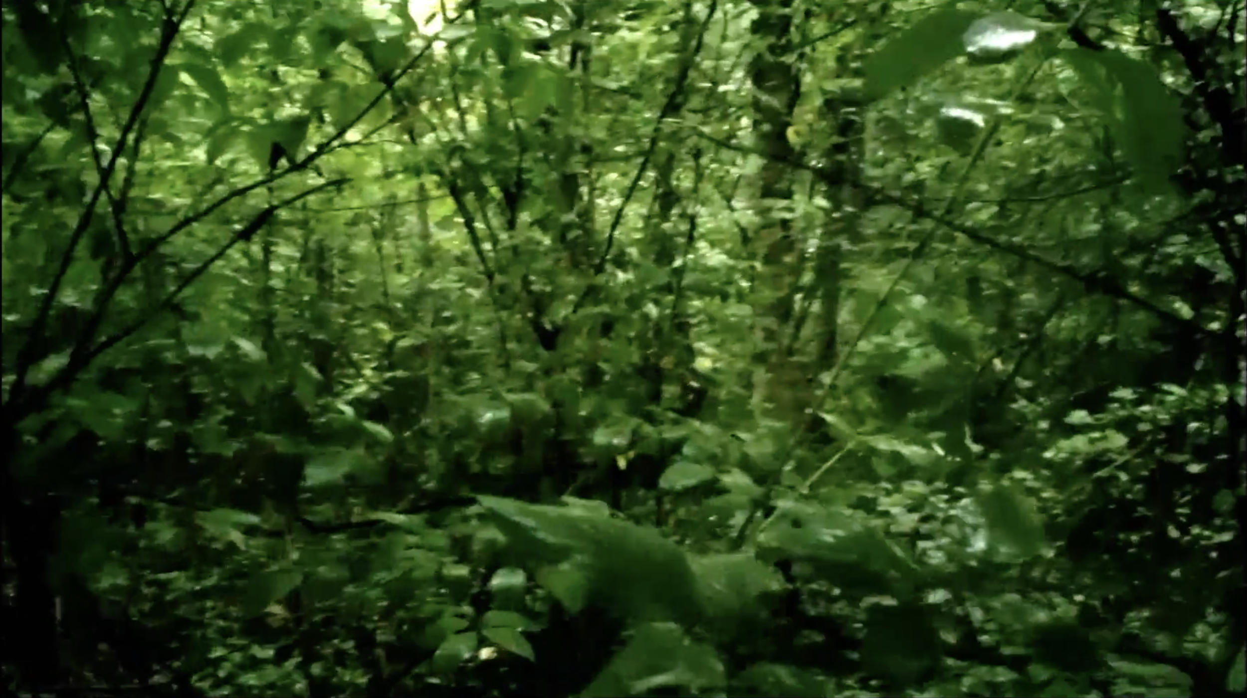 Goodbye to Language , Jean-Luc Godard (2014)