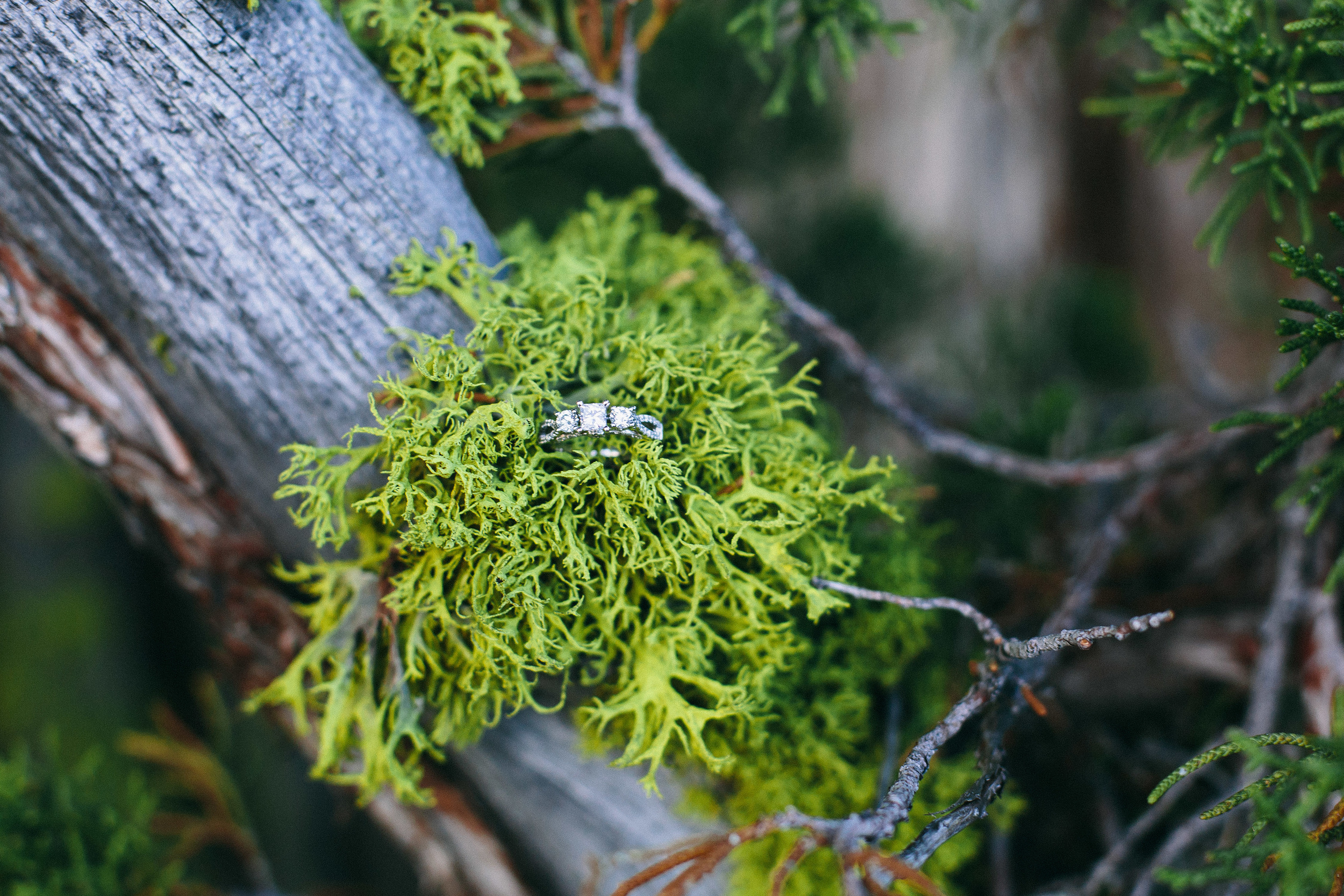 Clint & Veronica Engaged - Corrie Mick Photography-54.jpg