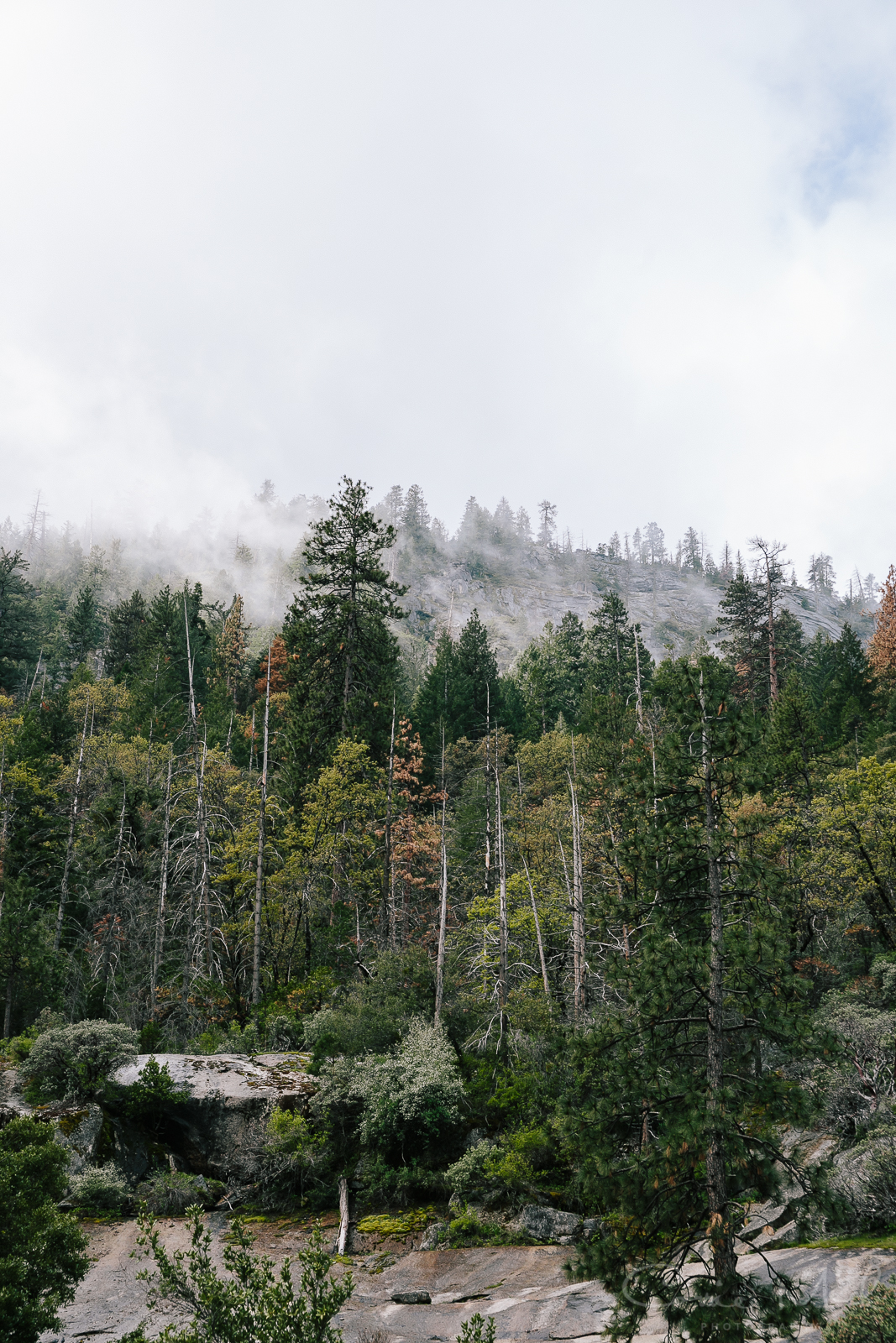 Yosemite April 2016 - Corrie Mick Photography-2.jpg