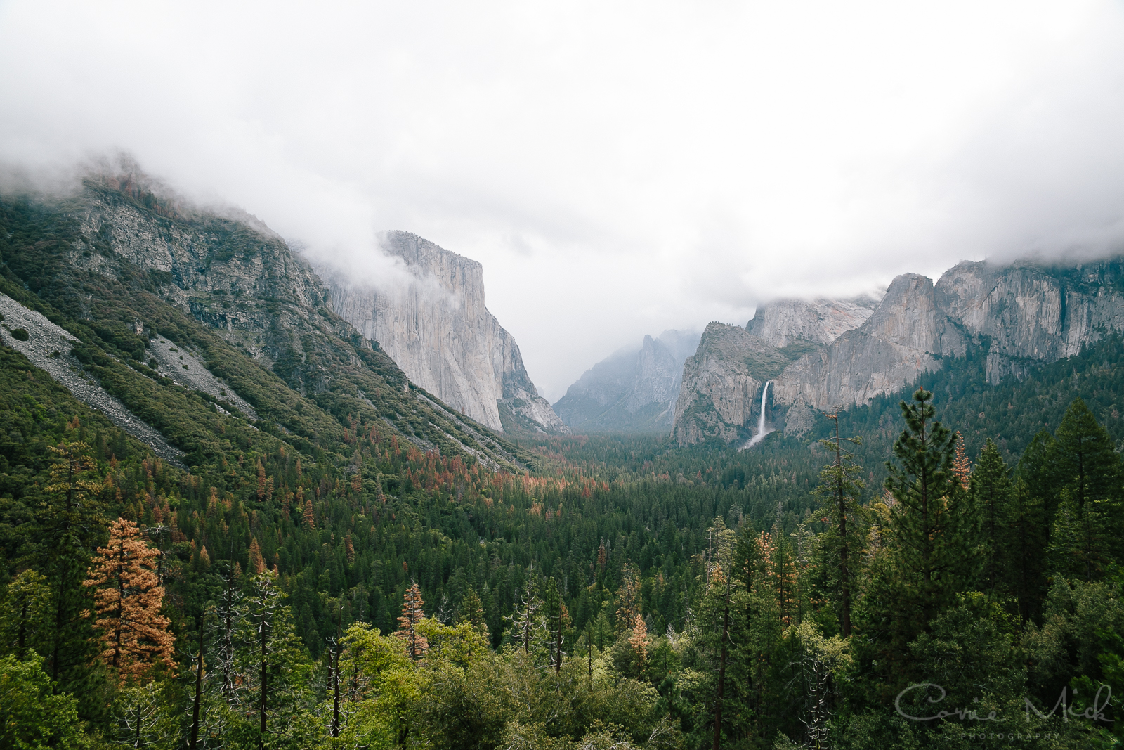 Yosemite April 2016 - Corrie Mick Photography-4.jpg