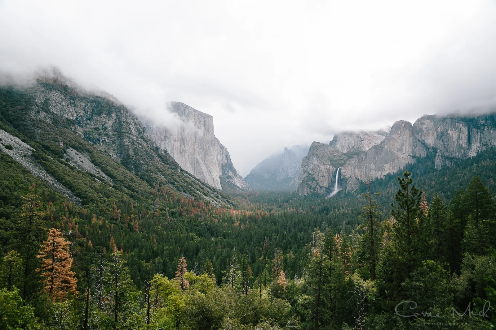 Yosemite April 2016 - Corrie Mick Photography-4.jpg