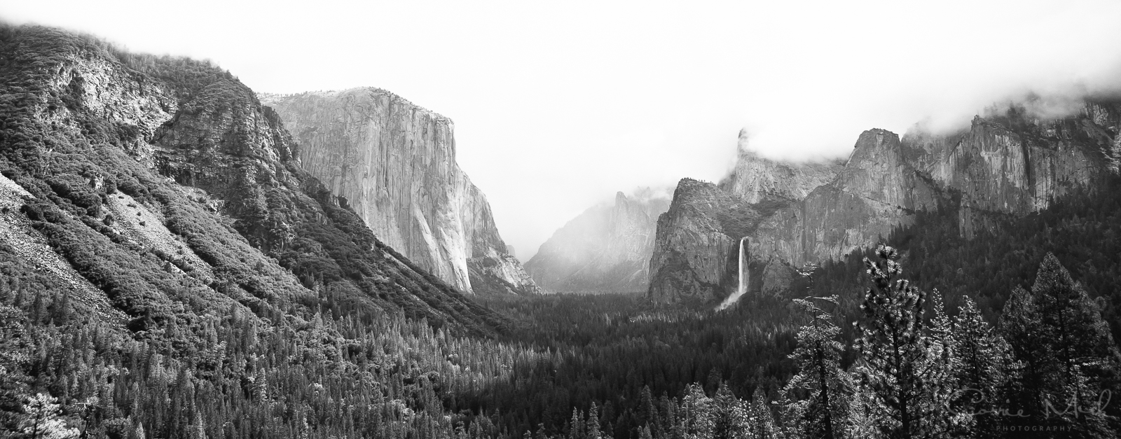 Yosemite April 2016 - Corrie Mick Photography-11.jpg