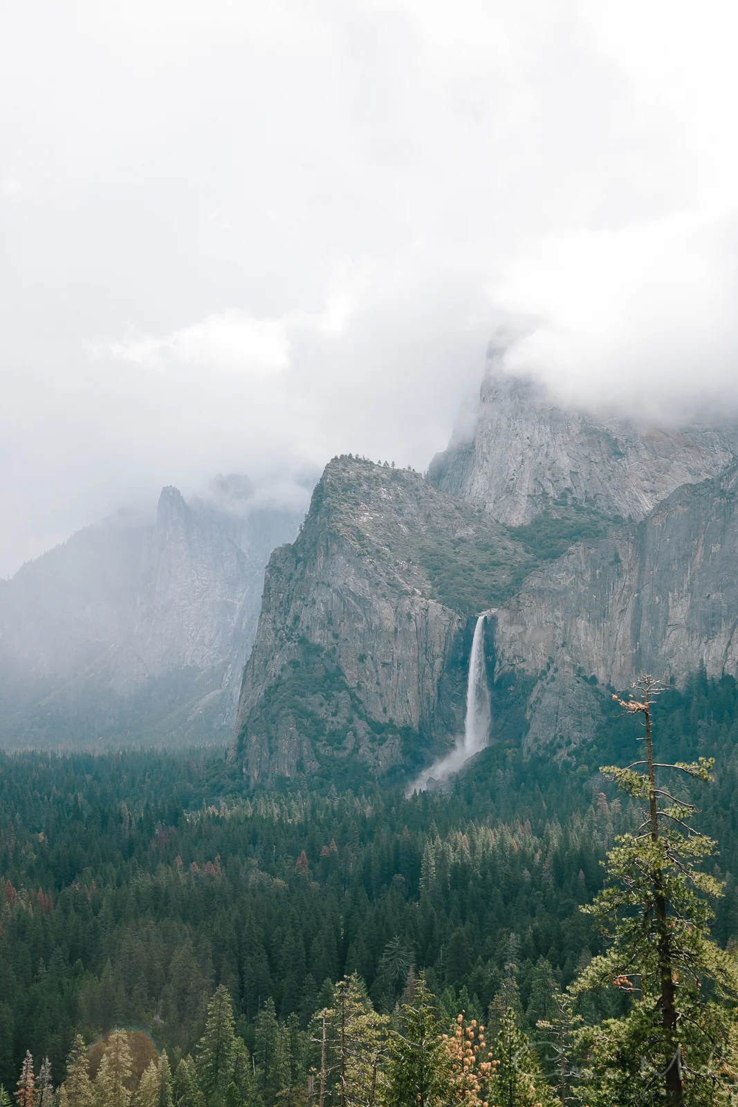 Yosemite April 2016 - Corrie Mick Photography-12.jpg
