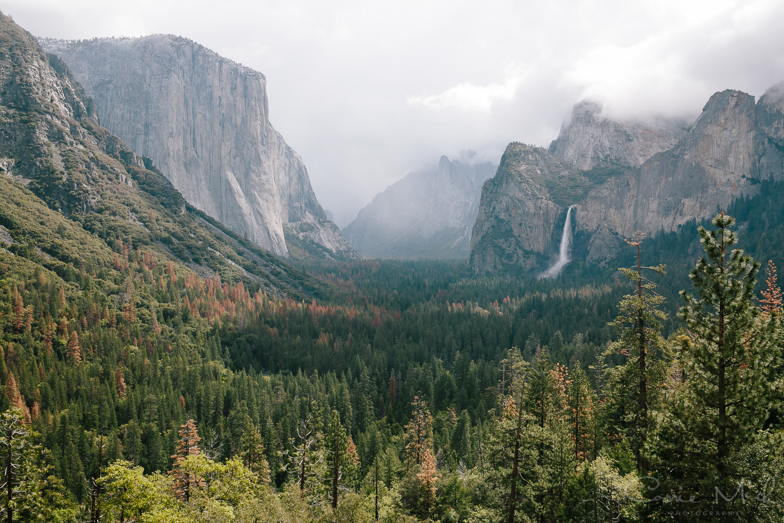 Yosemite April 2016 - Corrie Mick Photography-13.jpg