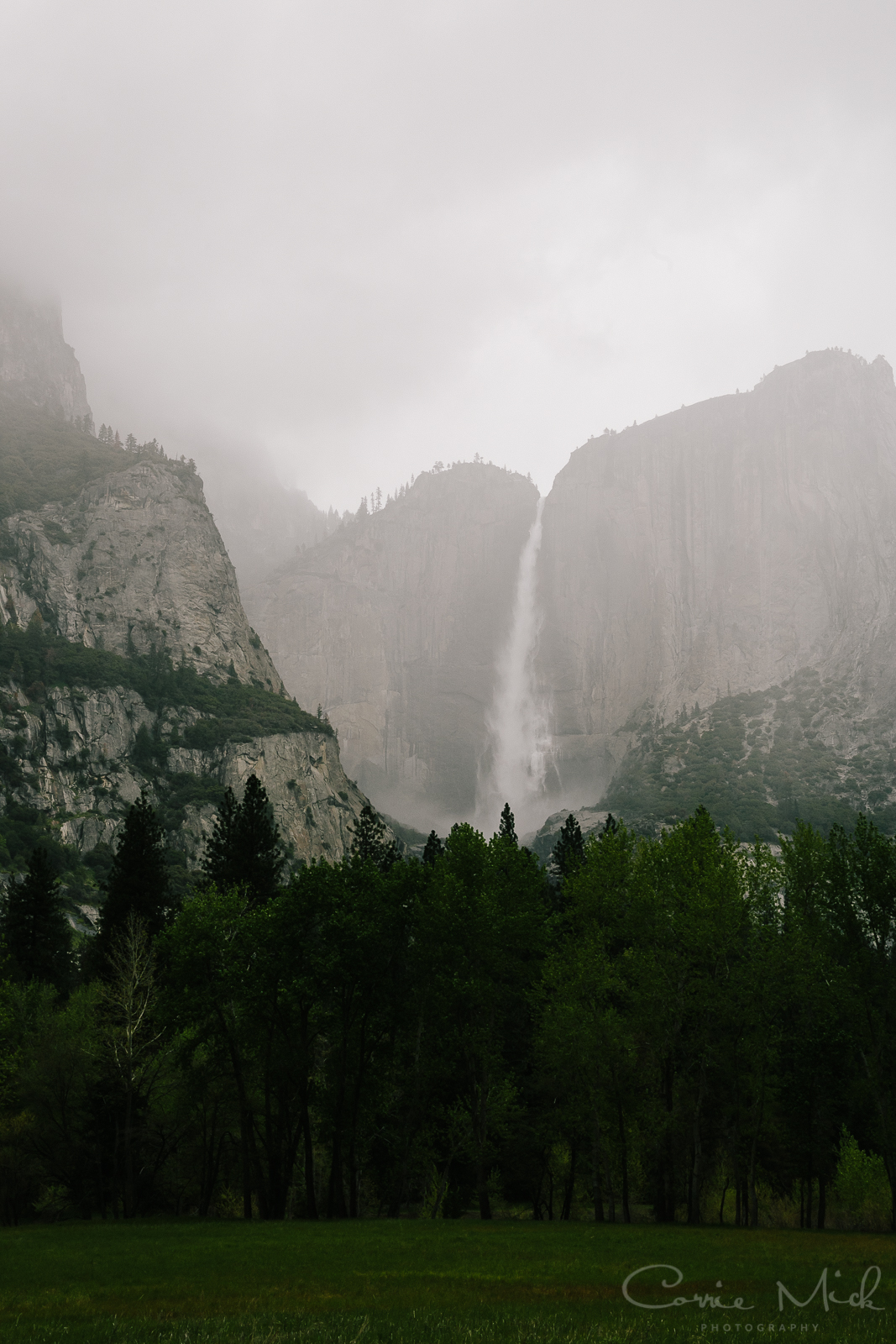 Yosemite April 2016 - Corrie Mick Photography-16.jpg