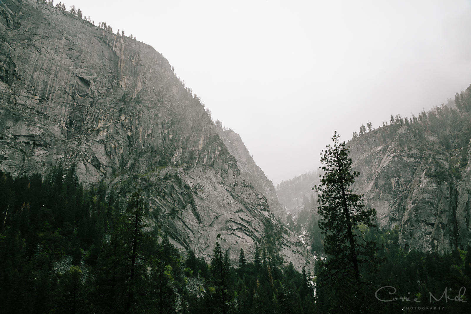 Yosemite April 2016 - Corrie Mick Photography-18.jpg