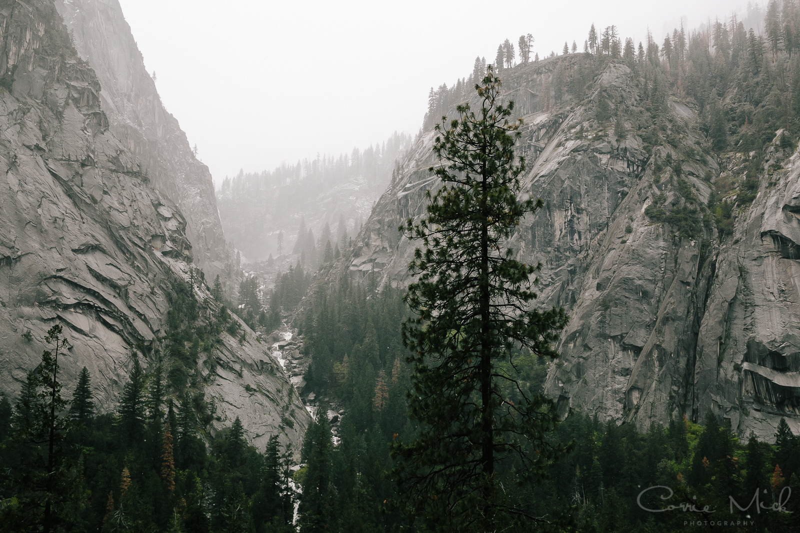Yosemite April 2016 - Corrie Mick Photography-20.jpg