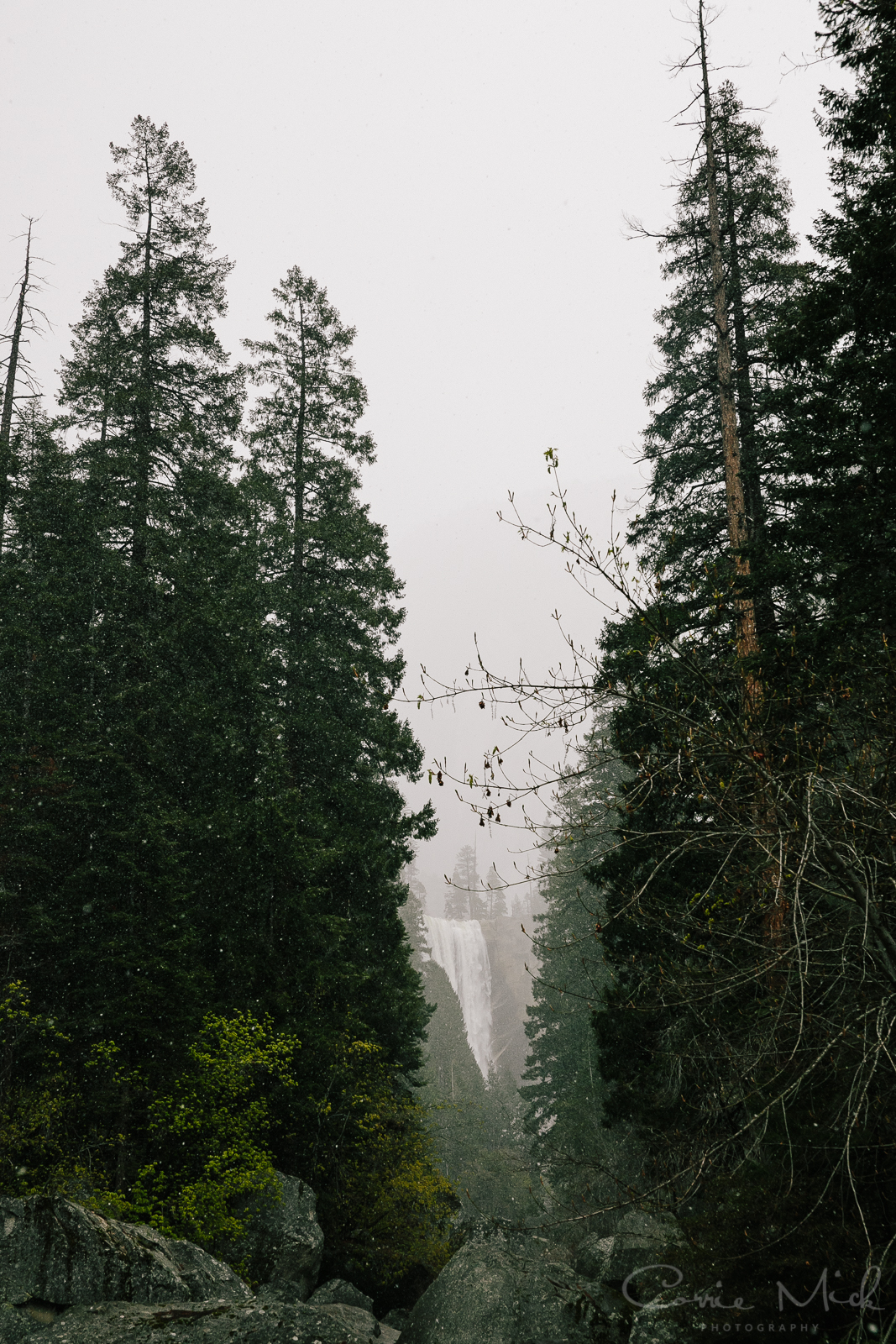 Yosemite April 2016 - Corrie Mick Photography-26.jpg