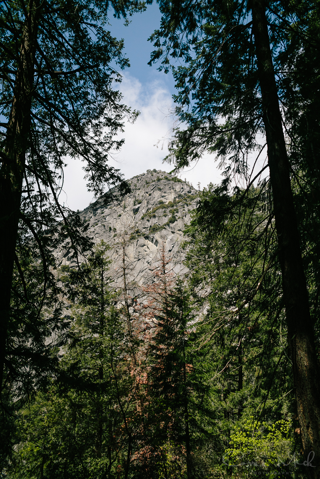 Yosemite April 2016 - Corrie Mick Photography-29.jpg