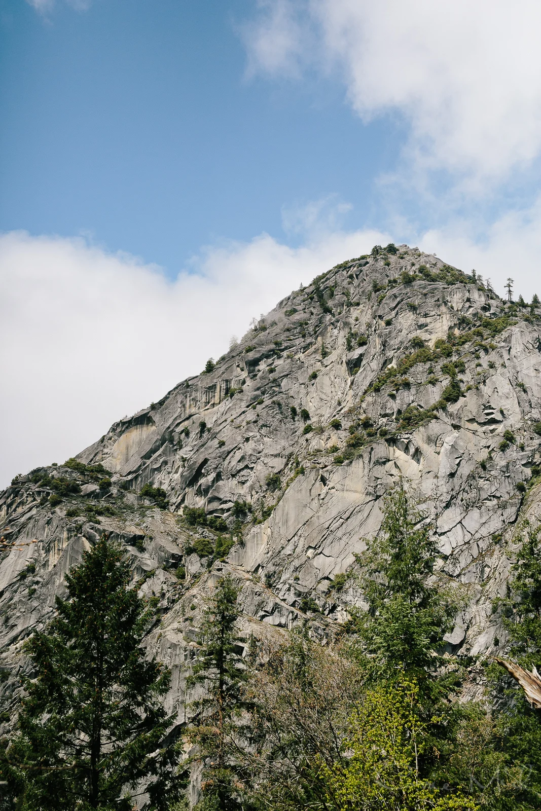 Yosemite April 2016 - Corrie Mick Photography-31.jpg