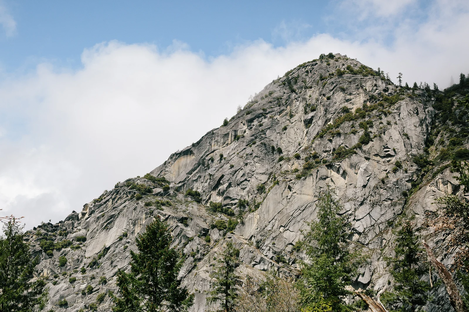 Yosemite April 2016 - Corrie Mick Photography-32.jpg