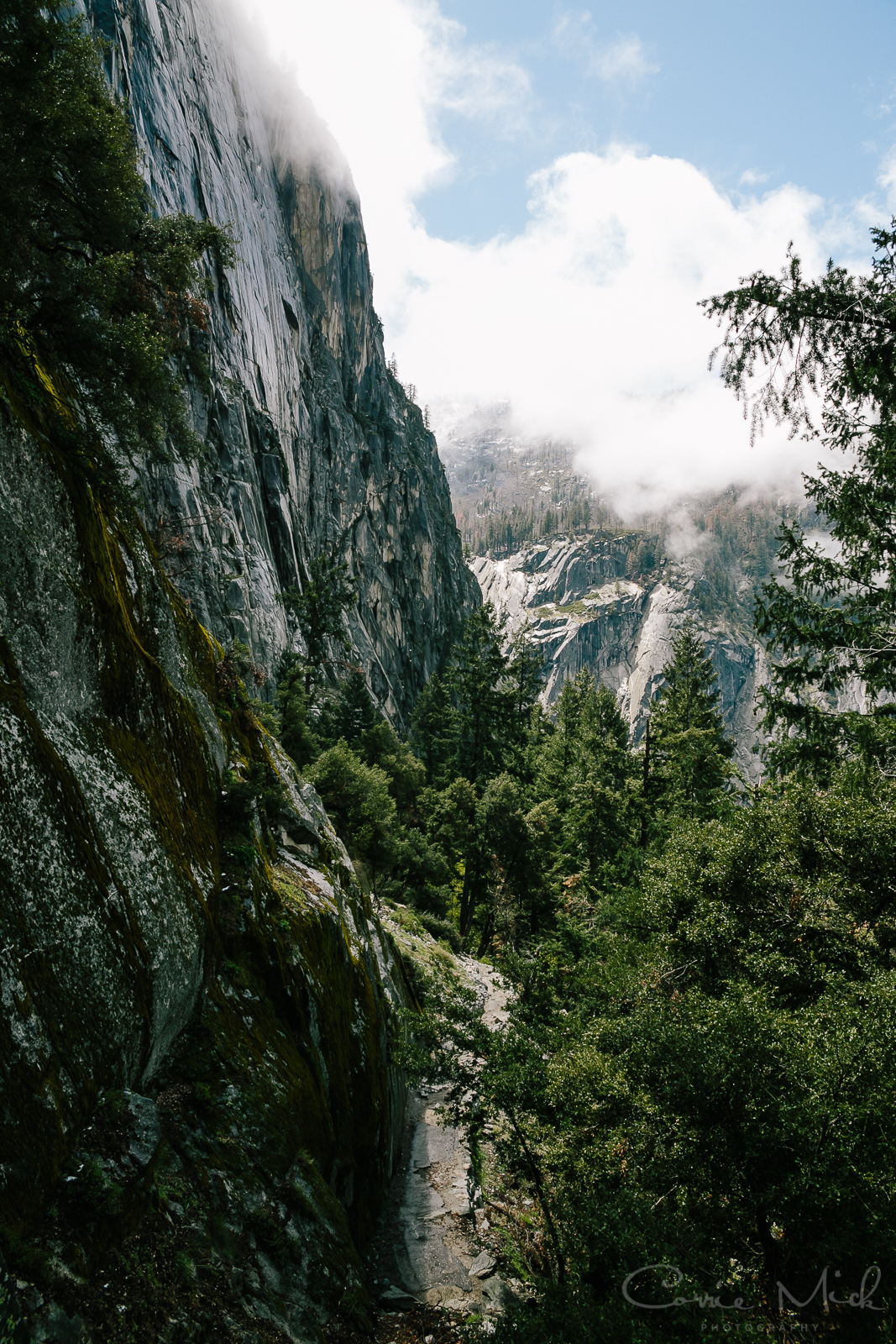 Yosemite April 2016 - Corrie Mick Photography-33.jpg