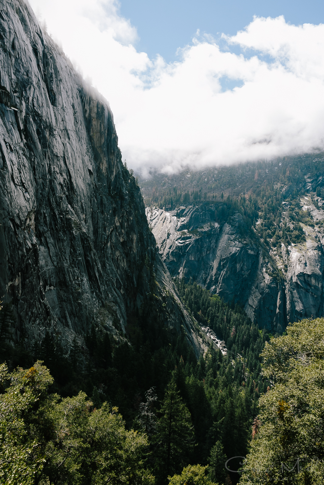 Yosemite April 2016 - Corrie Mick Photography-38.jpg