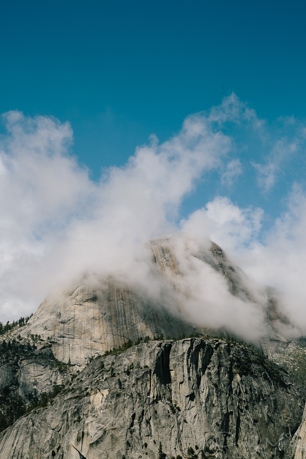 Yosemite April 2016 - Corrie Mick Photography-58.jpg