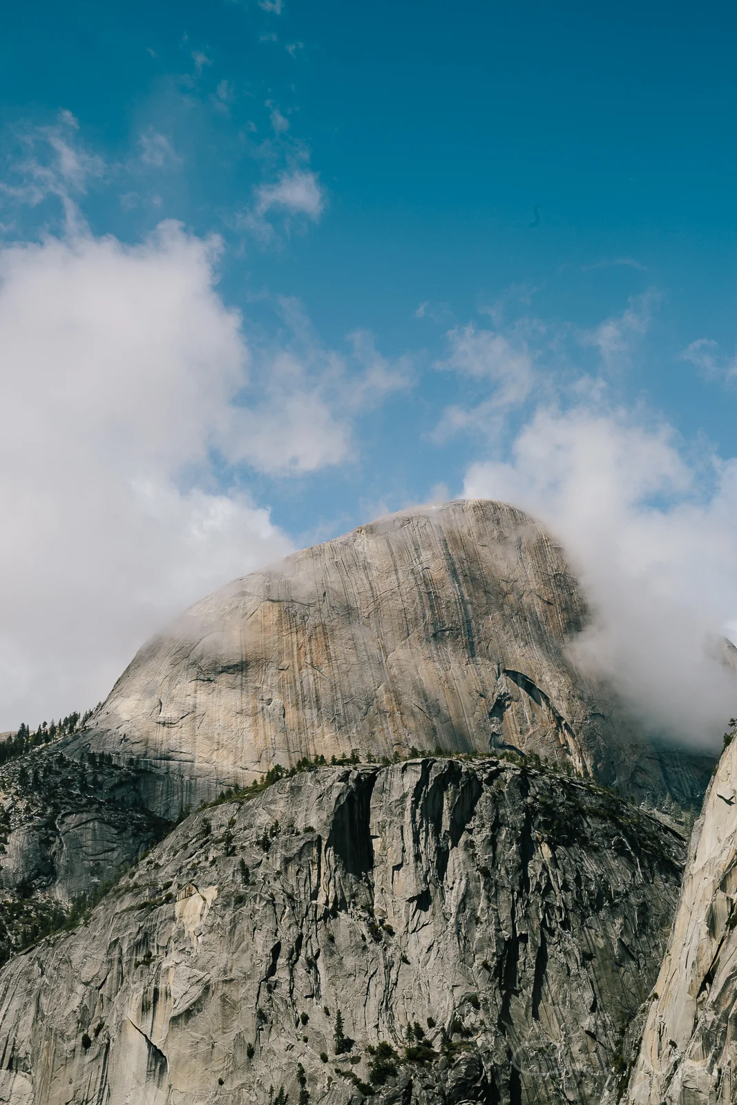 Yosemite April 2016 - Corrie Mick Photography-62.jpg