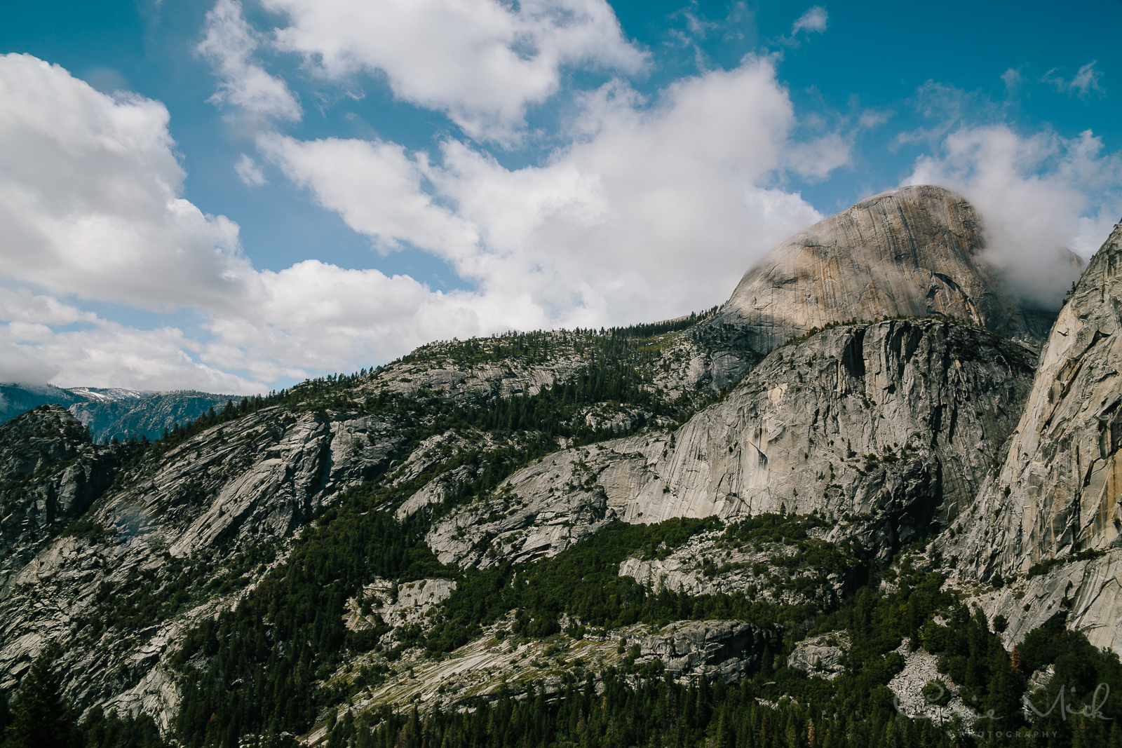 Yosemite April 2016 - Corrie Mick Photography-63.jpg
