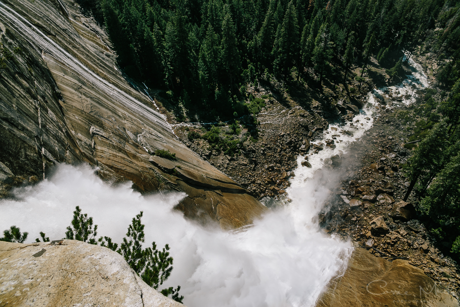 Yosemite April 2016 - Corrie Mick Photography-74.jpg