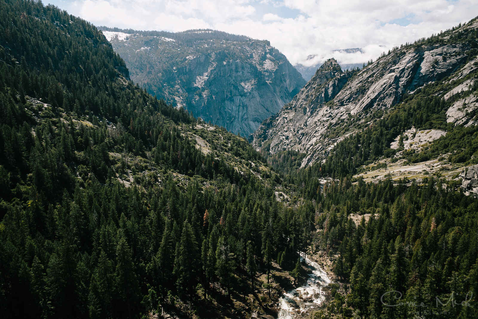 Yosemite April 2016 - Corrie Mick Photography-75.jpg