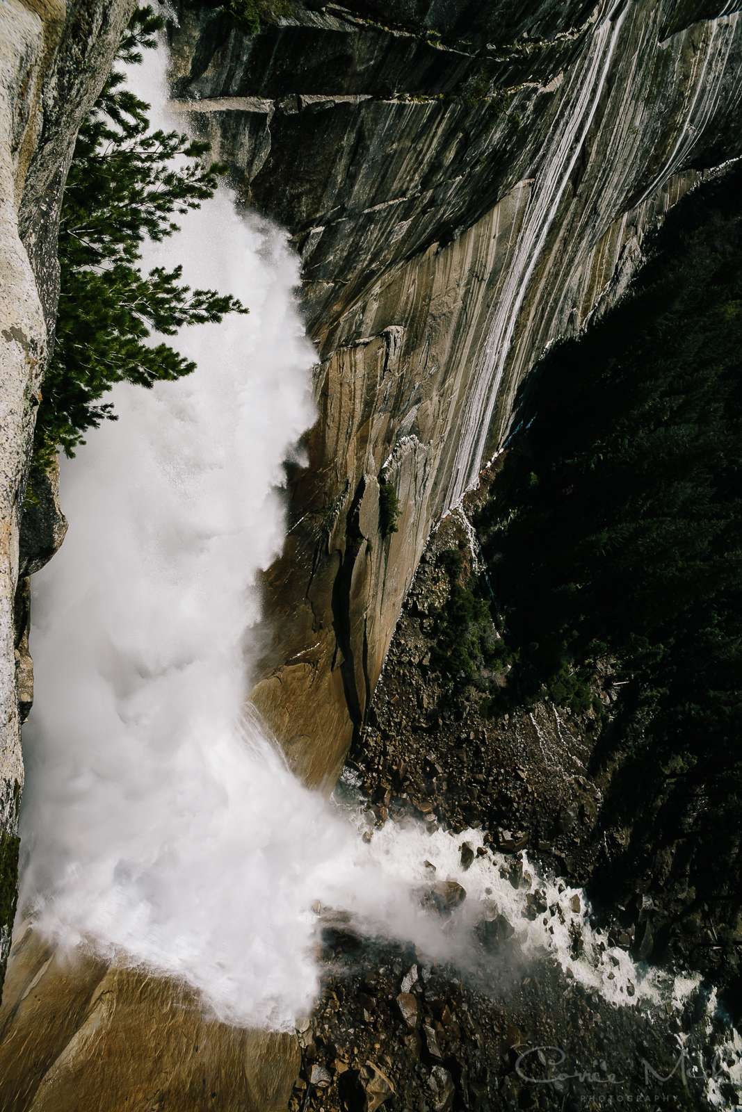 Yosemite April 2016 - Corrie Mick Photography-77.jpg